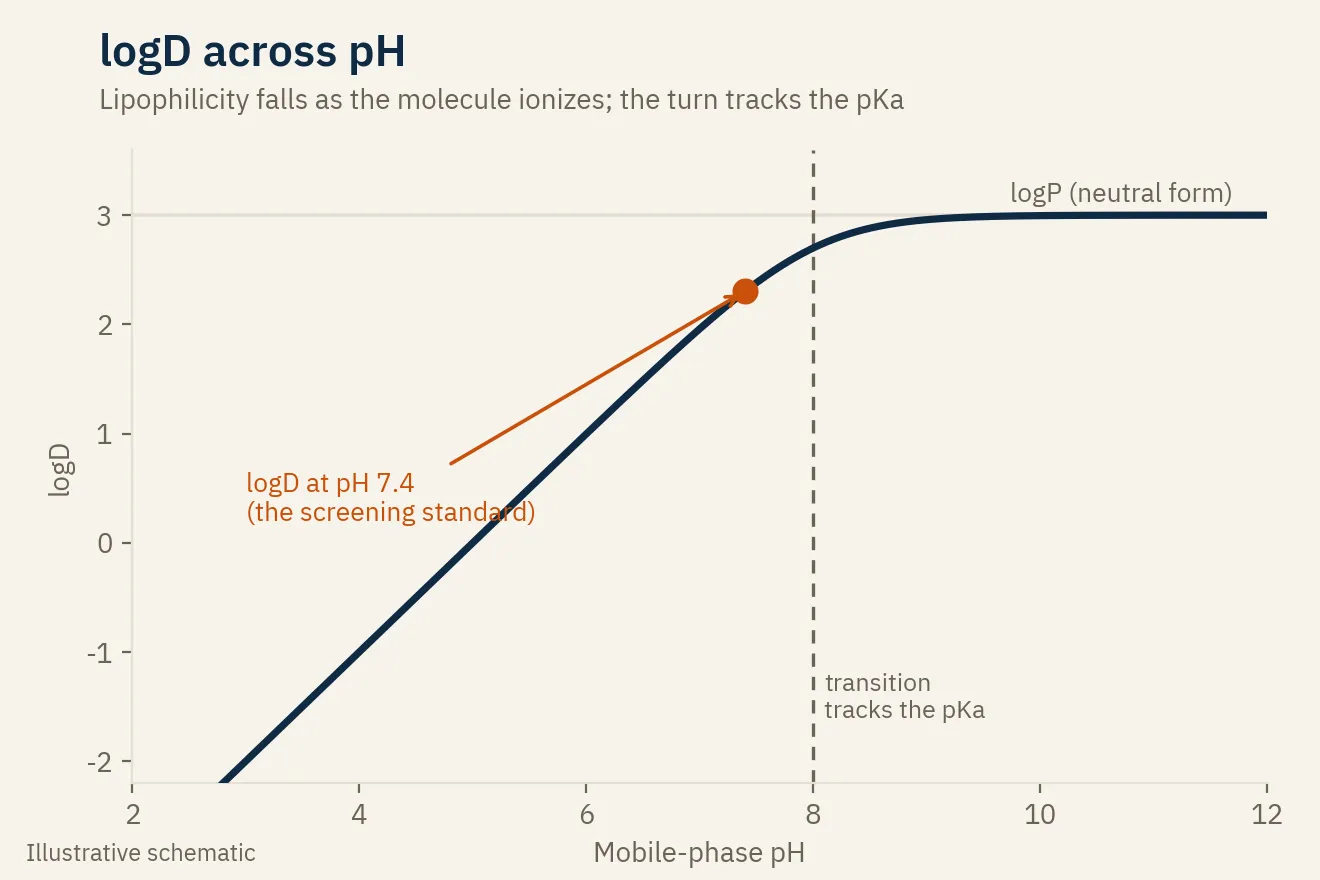 logD versus mobile-phase pH for a basic molecule: a plateau at the logP of the neutral form, falling as the molecule ionizes, with the turn tracking the pKa and the logD at pH 7.4 marked as the screening standard.